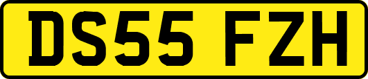 DS55FZH