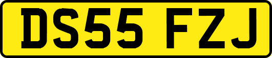 DS55FZJ