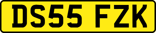 DS55FZK