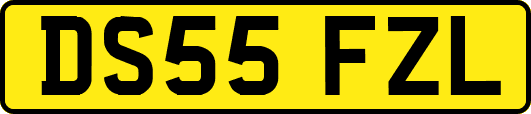 DS55FZL