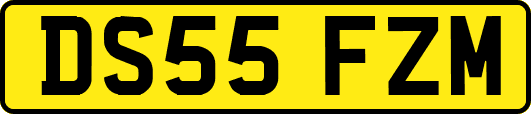 DS55FZM