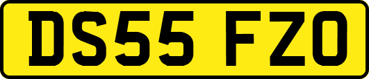 DS55FZO