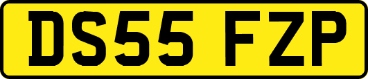 DS55FZP