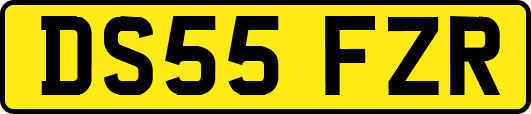 DS55FZR