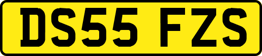 DS55FZS