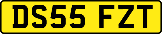 DS55FZT