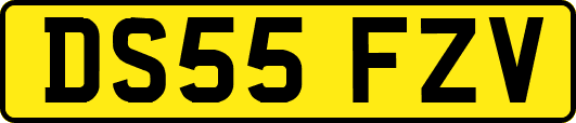 DS55FZV
