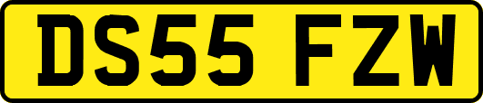 DS55FZW