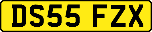 DS55FZX