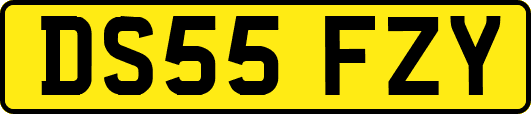 DS55FZY