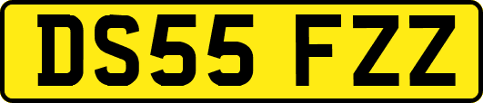 DS55FZZ