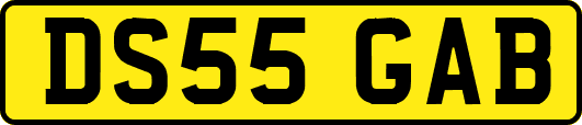 DS55GAB