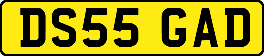 DS55GAD