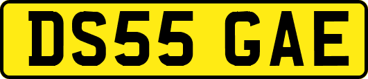 DS55GAE