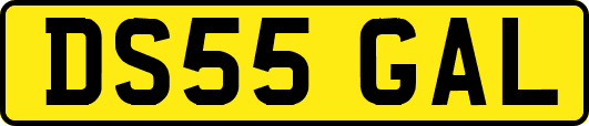 DS55GAL