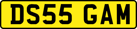 DS55GAM