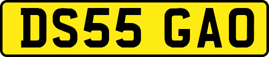 DS55GAO
