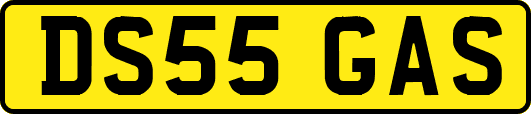 DS55GAS