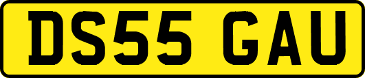 DS55GAU
