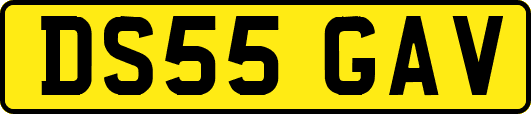 DS55GAV