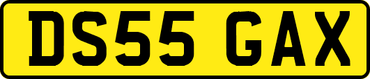 DS55GAX