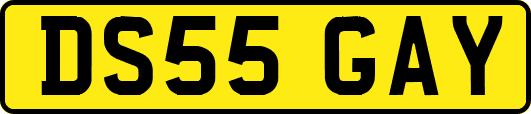 DS55GAY