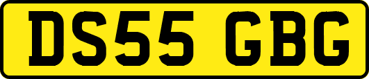 DS55GBG