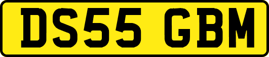 DS55GBM