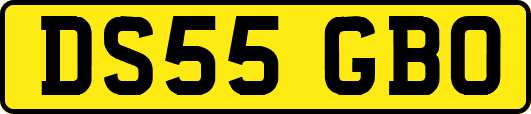 DS55GBO