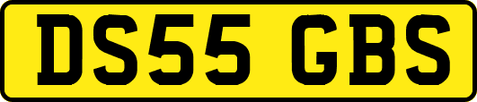 DS55GBS