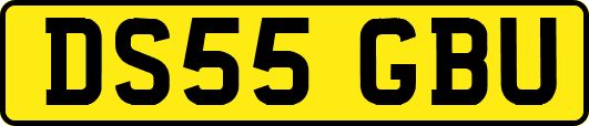 DS55GBU