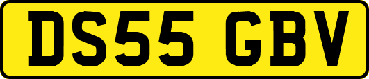 DS55GBV