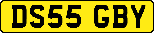 DS55GBY