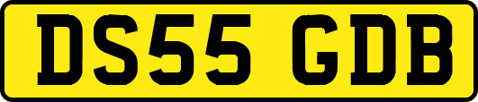 DS55GDB