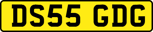 DS55GDG