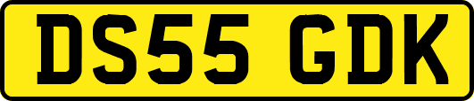 DS55GDK