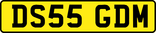 DS55GDM