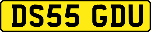 DS55GDU