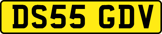 DS55GDV