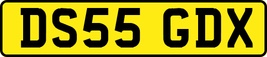 DS55GDX