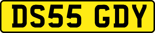DS55GDY
