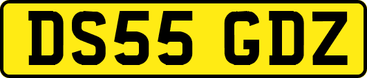 DS55GDZ