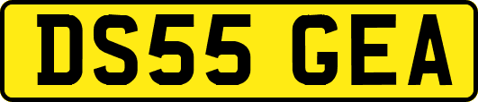 DS55GEA