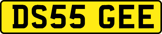 DS55GEE