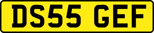DS55GEF