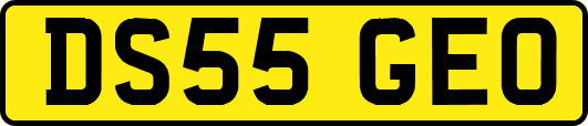 DS55GEO