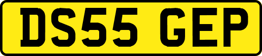 DS55GEP