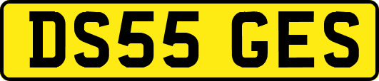 DS55GES