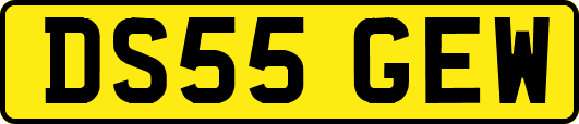 DS55GEW