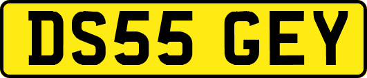 DS55GEY